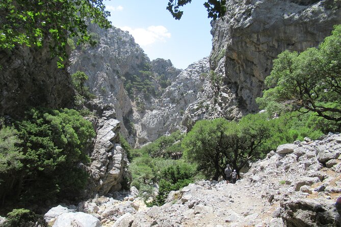 Private Trekking Rouvas Gorge - Resting at Ai Giannis picnic area