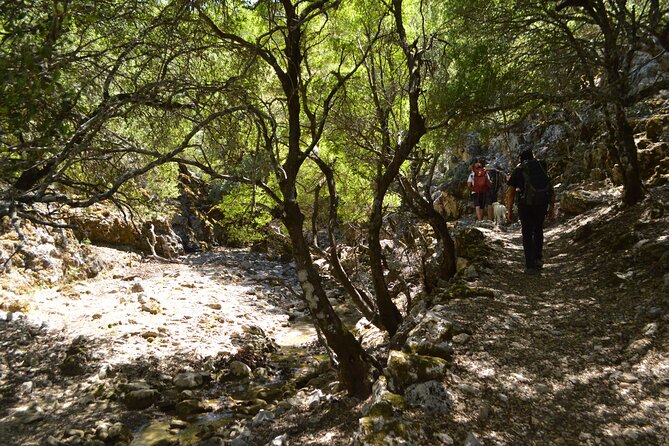 Private Trekking Rouvas Gorge - What the private price includes at up to six people
