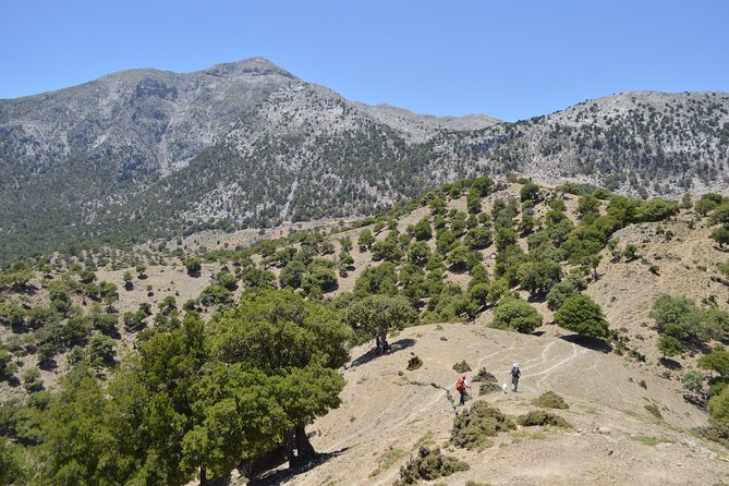Private Trekking Rouvas Gorge - Who will enjoy Rouvas Gorge most