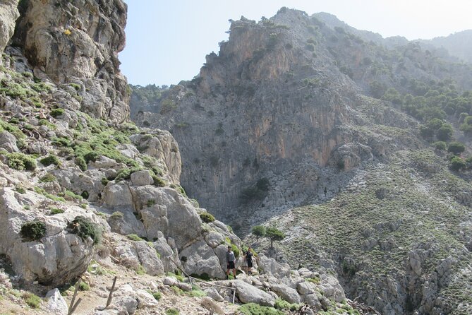 Private Trekking Rouvas Gorge - Reaching the Rouvas holly forest after two hours