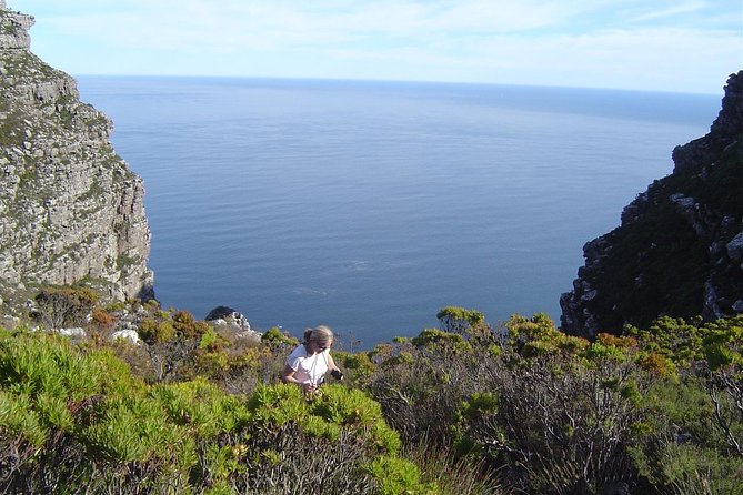 Privately guided Table Mountain hike - Key points to know before booking
