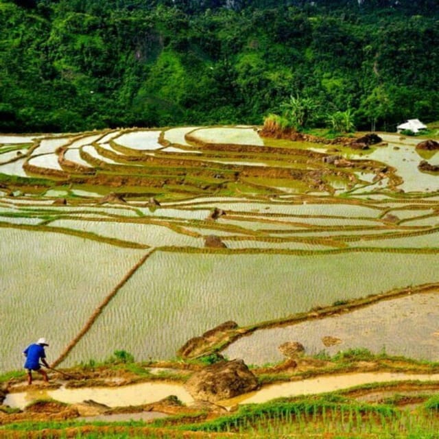 Pu Luong 2 Days 1 Nights - Offbeat Trekking Tour - How hard is the walking?
