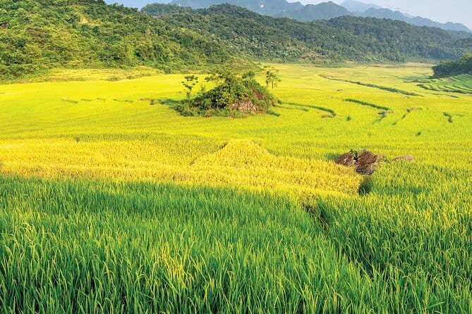 Pu Luong 3-Day Adventure: Trekking, Cycling & Local Cooking Class - Key points at a glance