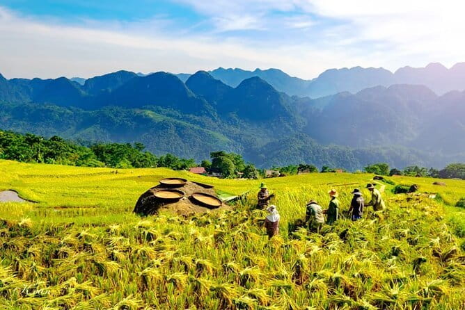 Pu Luong 3-Day Adventure: Trekking, Cycling & Local Cooking Class - What Pu Luong gives you that Hanoi cannot