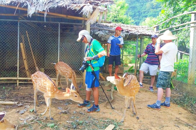Pu Luong Explorer: 3-Day Trekking & Authentic Village Stay - The early ride from Hanoi or Ninh Binh