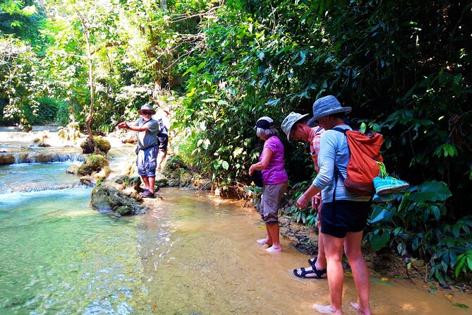 Pu Luong Explorer: 3-Day Trekking & Authentic Village Stay - Small groups, guides, and the feel of the trip