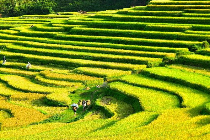 Pu Luong Full Day Trek Terraces Weaving and Waterfall Lunch - Lunch beside the falls