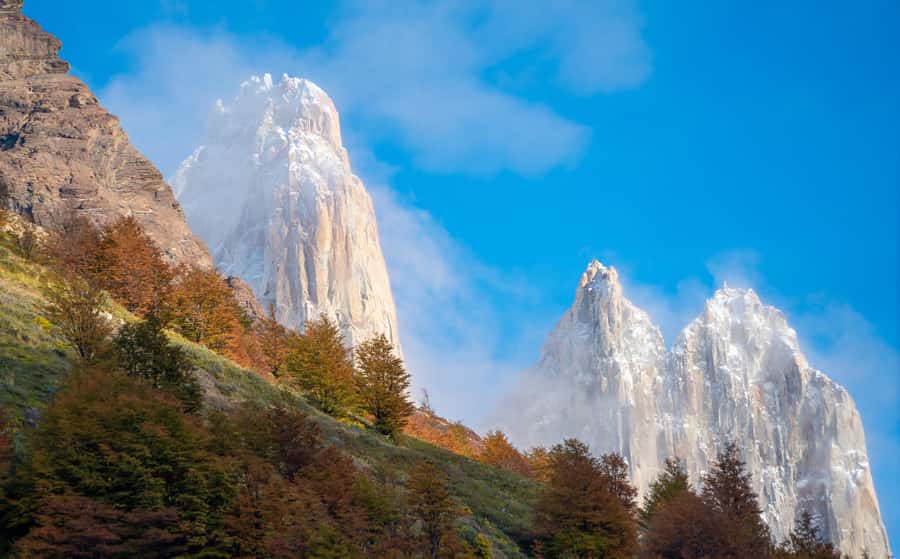 Puerto Natales: Base of the Towers Trekking Experience - El Chileno and the forest climb