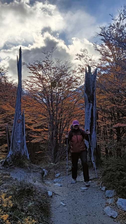 Puerto Natales: Base of the Towers Trekking Experience - The return is a real part of the hike