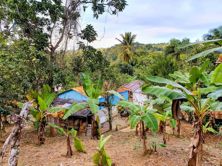 Puerto Plata Trekking - Experience of Nature and Folklore - Dominican lunch at the right point in the day