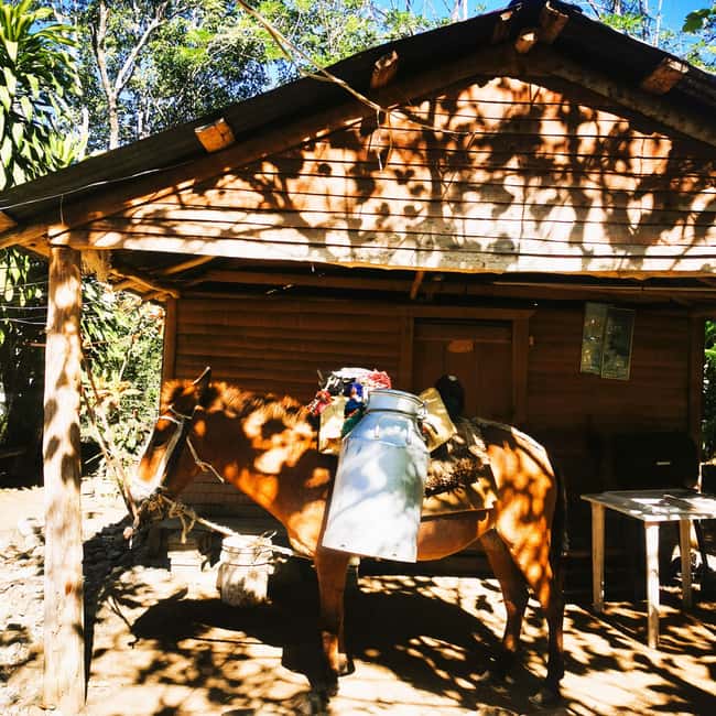 Puerto Plata Trekking - Experience of Nature and Folklore - Is $120 a fair price?
