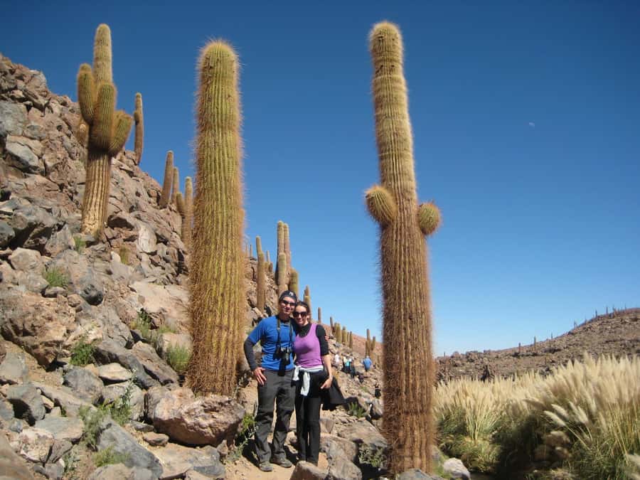 Purilibre Trekking - A green canyon in the middle of the Atacama