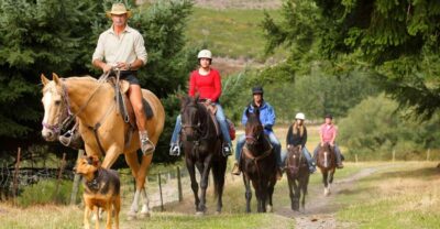 Queenstown: Walter Peak Horse Trek & Queenstown Lake Cruise