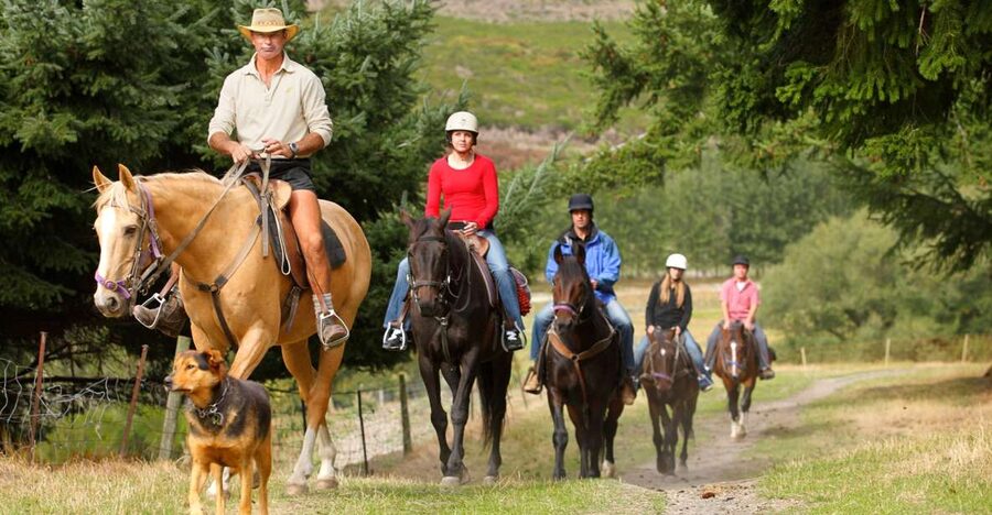 Queenstown: Walter Peak Horse Trek & Queenstown Lake Cruise - Meeting your horse at Walter Peak