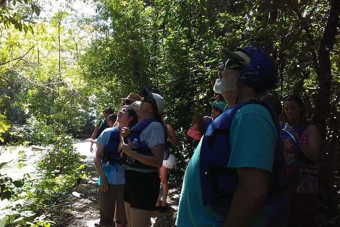 Rainforest Trek to Natural Pool - Taino Bay & Amber Cove ports - A rainforest walk with more than scenery