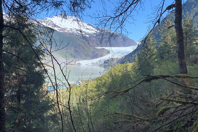 Rainforest & Waterfalls Trek - What the five-hour outing includes