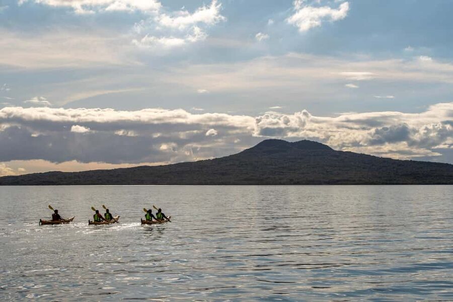 Rangitoto Island: Sea Kayak & Summit Hike Day Trip - Why this Rangitoto trip feels different