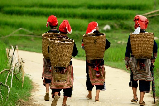 Red Dao Village Trek and Herbal Bath - Through fields and bamboo forest to Ta Phin