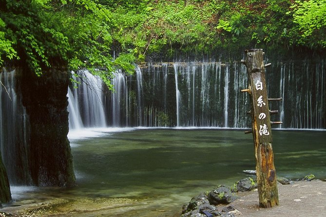 Relax and refresh in Karuizawa Forest! Shinanoji down trekking around two people - A Downhill Start at Minenochaya