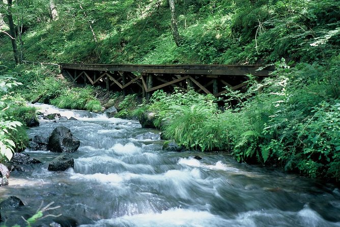 Relax and refresh in Karuizawa Forest! Shinanoji down trekking around two people - Why a Private Group Changes the Experience