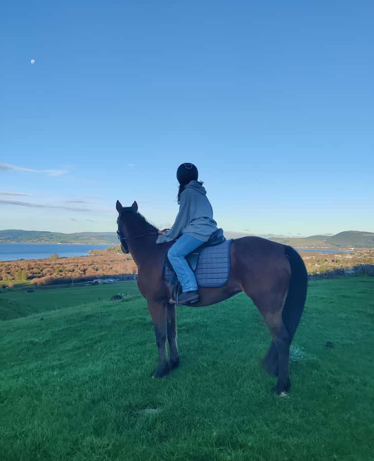 Rotorua: Scenic Horse Trek - Key points at a glance