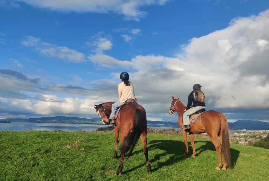Rotorua: Scenic Horse Trek - Why this Rotorua ride is worth considering