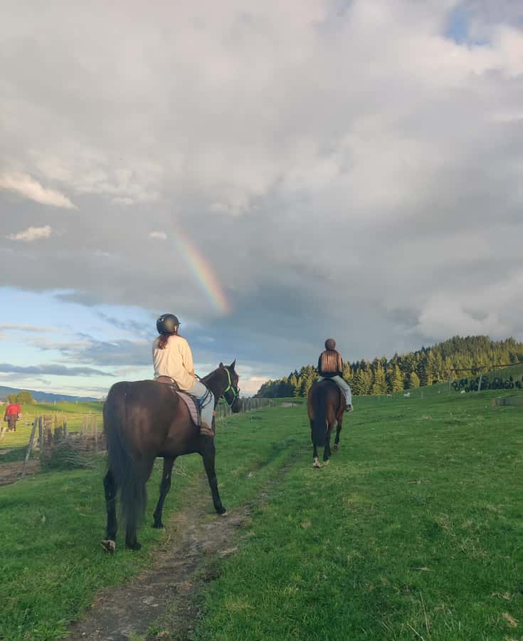 Rotorua: Scenic Horse Trek - The first minutes on the trail
