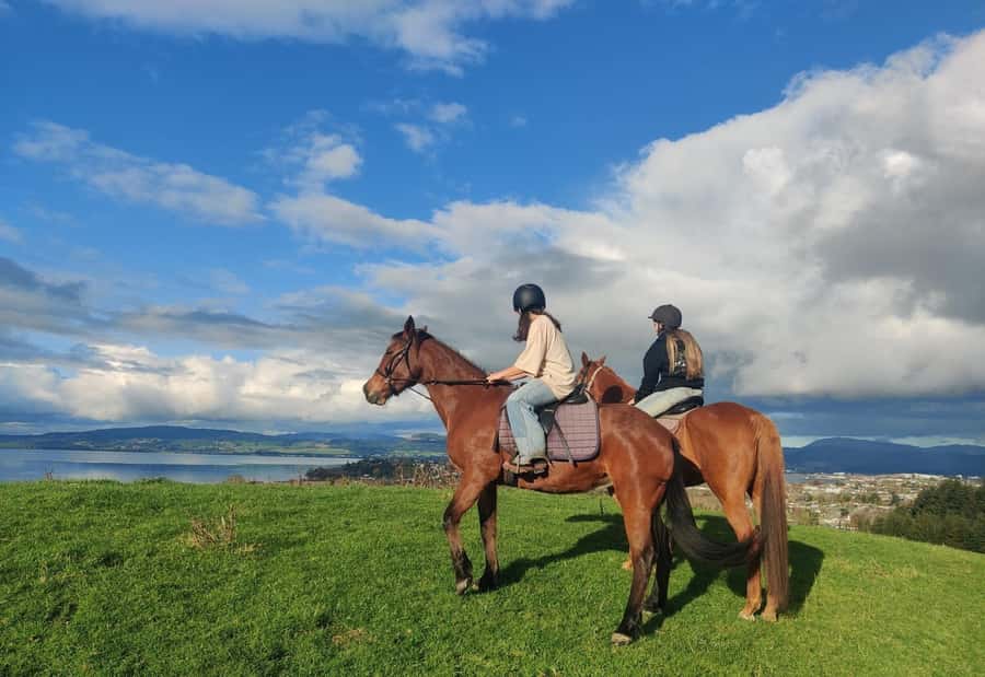 Rotorua: Scenic Horse Trek - Getting matched with your horse
