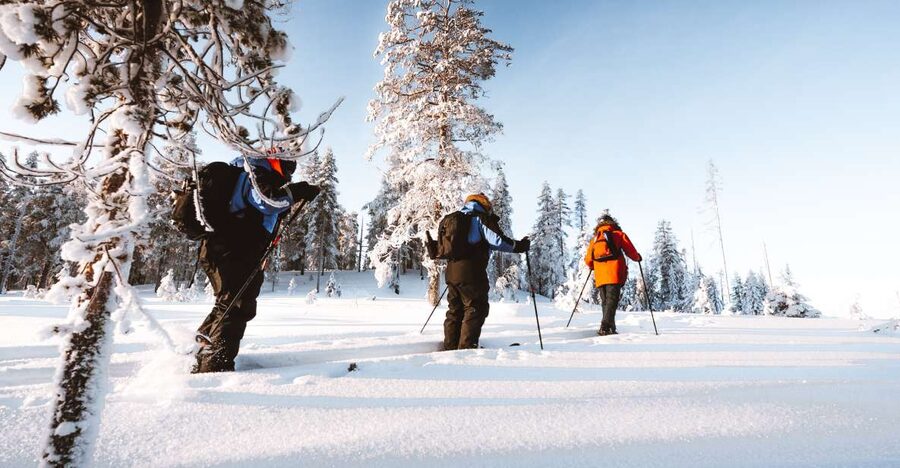 Rovaniemi: Lapland Ski Trekking Safari - Should you book the ski trekking safari?