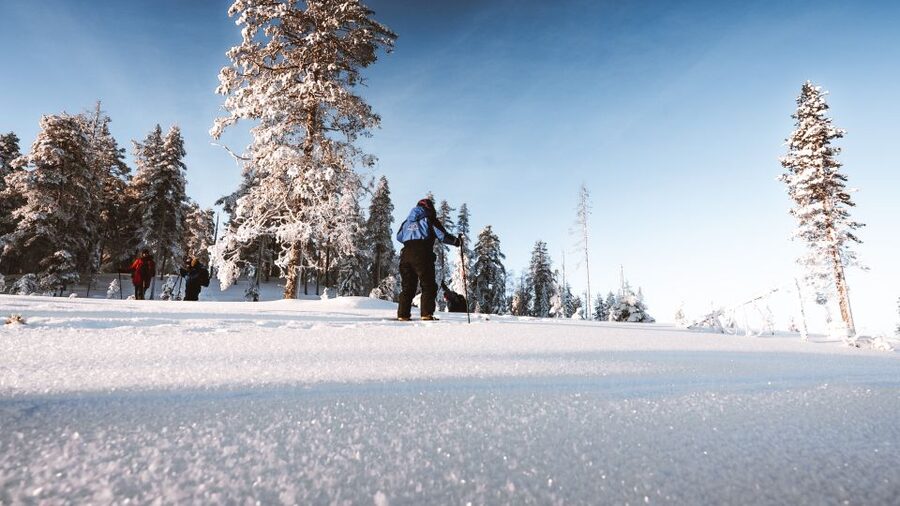 Rovaniemi: Lapland Ski Trekking Safari - Getting used to back-country skis