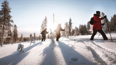 Rovaniemi: Lapland Ski Trekking Safari