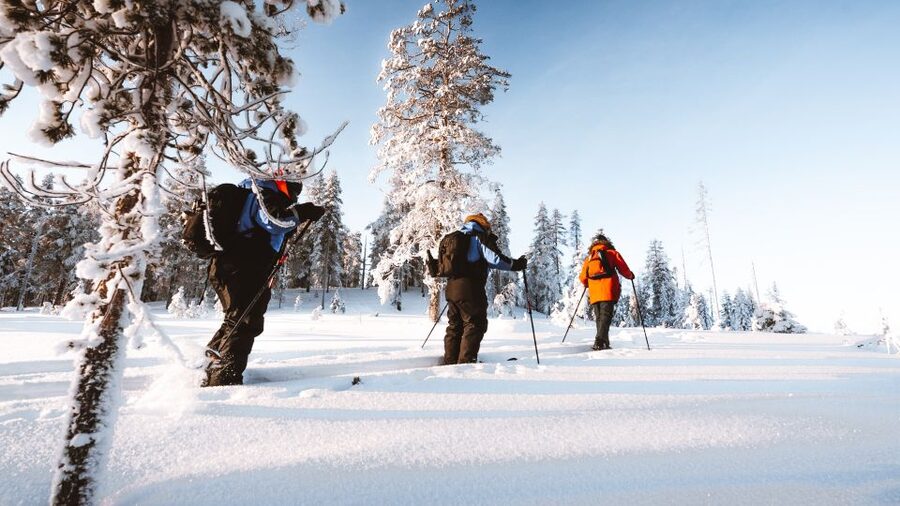 Rovaniemi: Lapland Ski Trekking Safari - Is $128 a fair price?