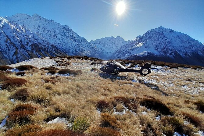 Rubicon Valley Horse Treks - 2 Hour River Trail Horse Trek - A good choice for beginners, with useful room for riders