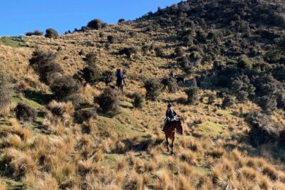 Rubicon Valley Horse Treks – 2 Hour River Trail Horse Trek