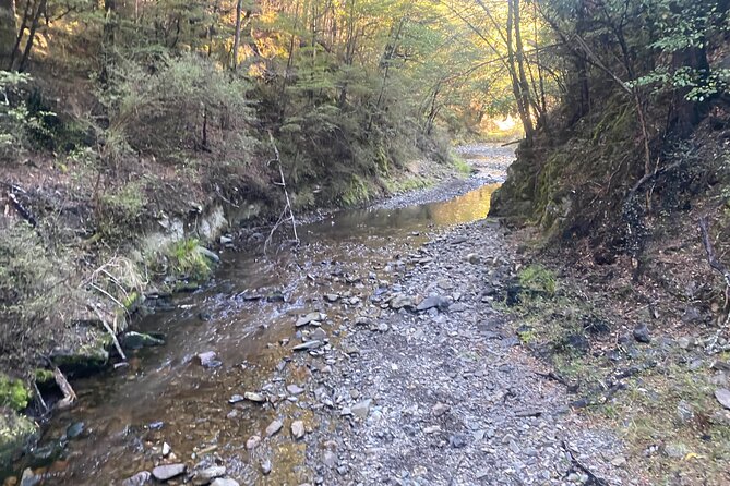 Rubicon Valley Horse Treks - 2 Hour River Trail Horse Trek - Is $91.47 a fair price?