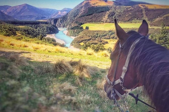 Rubicon Valley Horse Treks - 2 Hour River Trail Horse Trek - Who should book this ride?