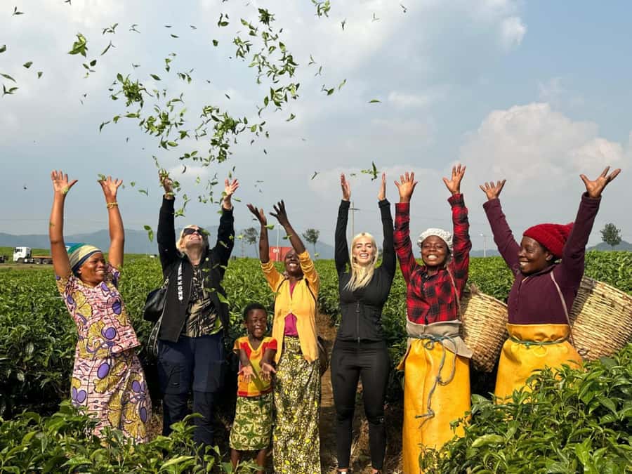 Rwanda: 3-Day Chimpanzee Trekking, Canopy, and Lake Kivu … - Key points to know before booking