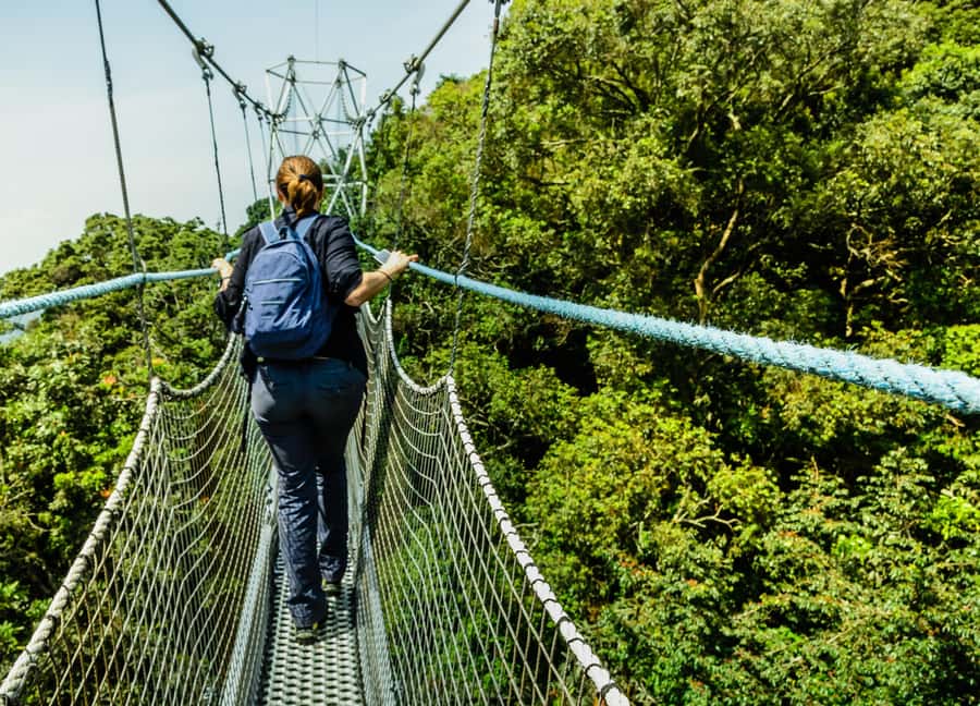 Rwanda: 3-Day Chimpanzee Trekking, Canopy, and Lake Kivu … - Why the chimpanzee trek makes this three-day trip special