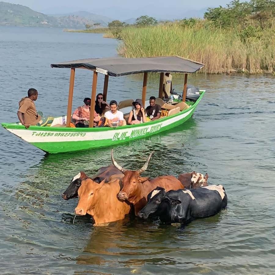 Rwanda: 3-Day Chimpanzee Trekking, Canopy, and Lake Kivu … - Lake Kivu: islands, swimming, and a boat ride with a local twist