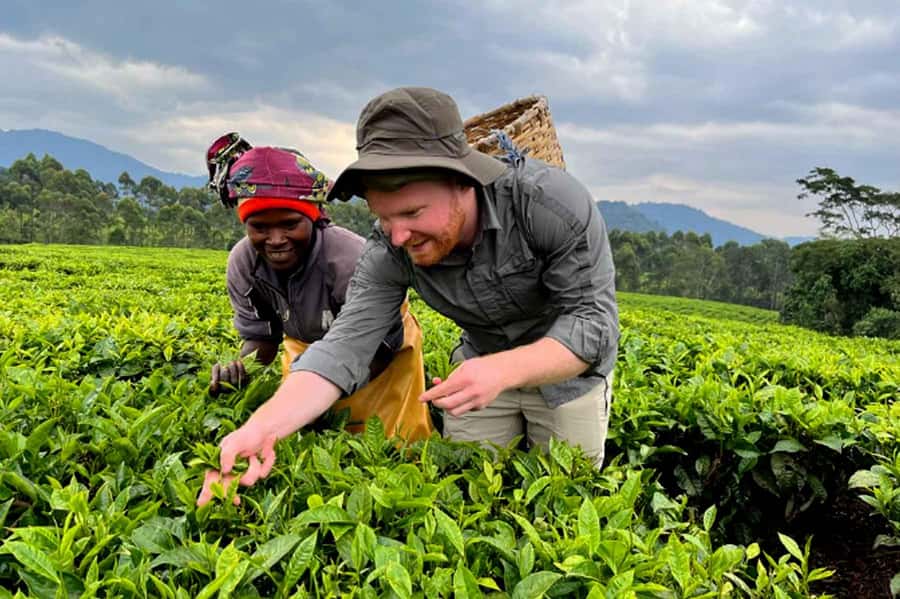 Rwanda: 3-Day Chimpanzee Trekking, Canopy, and Lake Kivu … - Should you book it?
