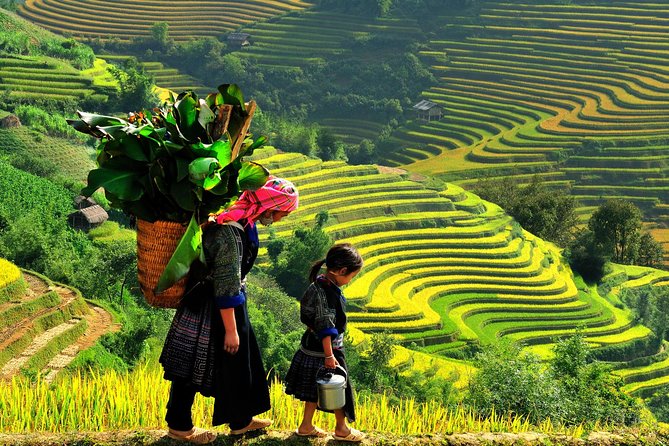 Sa Pa 2-Day Moderate Trek and Homestay Limousine Tour from Hanoi - The 6:45 a.m. limousine from Hanoi