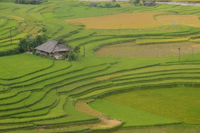 Sa Pa 2-Day Moderate Trek and Homestay Limousine Tour from Hanoi - Price, meals, and what you still pay