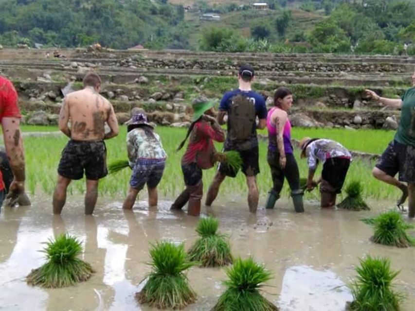 Sa Pa: 2-Day Trekking Trip with Ethnic Minority Homestay - The guides are a major part of the value