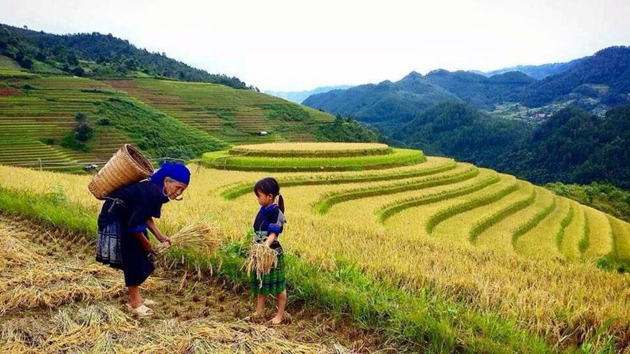 Sa Pa: 6-Hours Muong Hoa Valley Trek with Local Ethnic guide - Lunch at a local restaurant