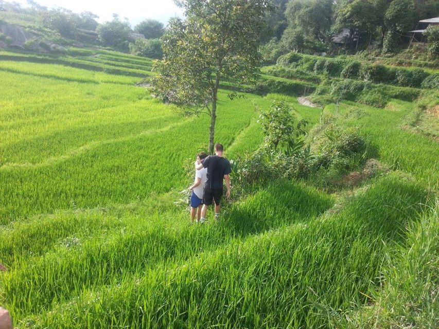Sa Pa: 6-Hours Muong Hoa Valley Trek with Local Ethnic guide - Ta Van and the Dzay village