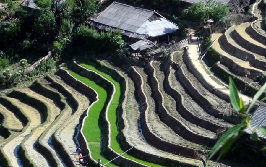 Sa Pa: 6-Hours Muong Hoa Valley Trek with Local Ethnic guide - Transport, timing, and the $18 price