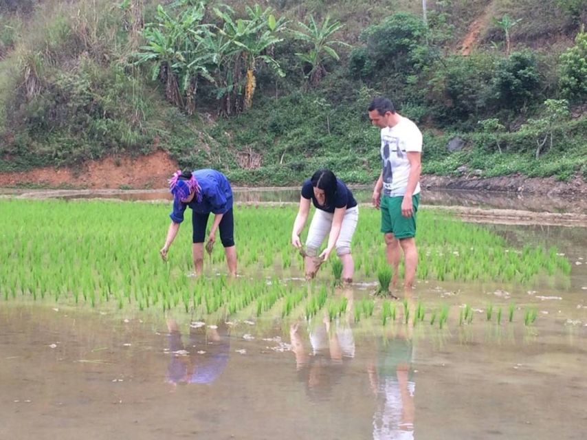 Sa Pa: 6-Hours Muong Hoa Valley Trek with Local Ethnic guide - Lao Chai and the wide rice-terrace views