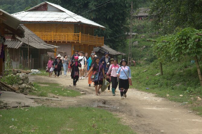 Sa Pa Full Day Trekking Tour - Group size, guides, and the pace of the day