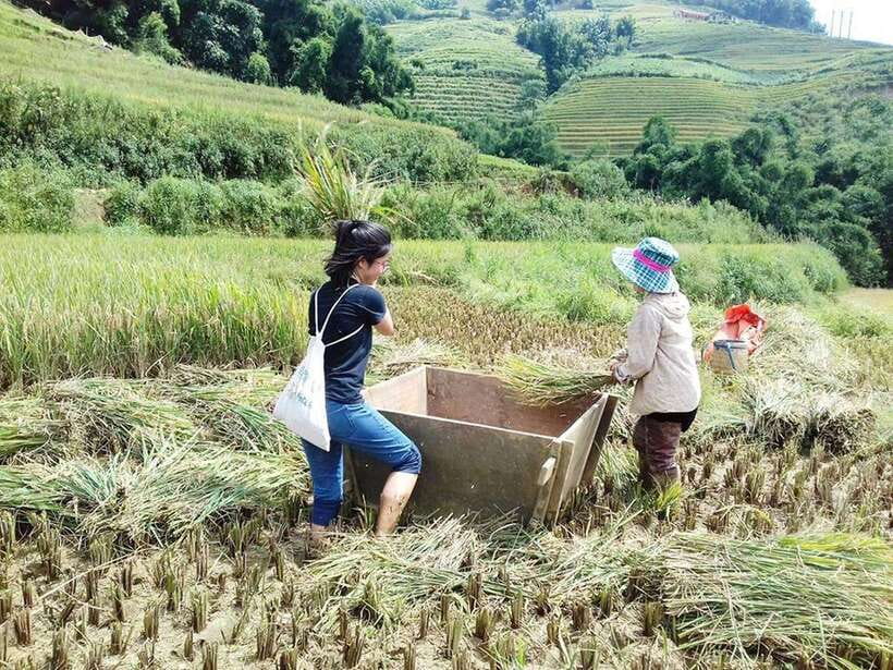 Sa Pa: Muong Hoa Valley Trek and Local Ethnic Villages - Key points at a glance