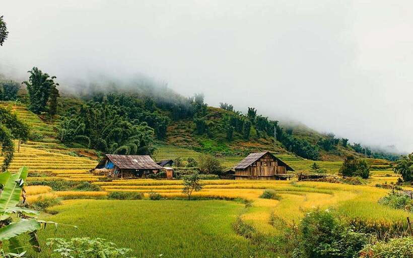 Sa Pa: Muong Hoa Valley Trek and Local Ethnic Villages - Weather, scenery, and the honest tradeoff